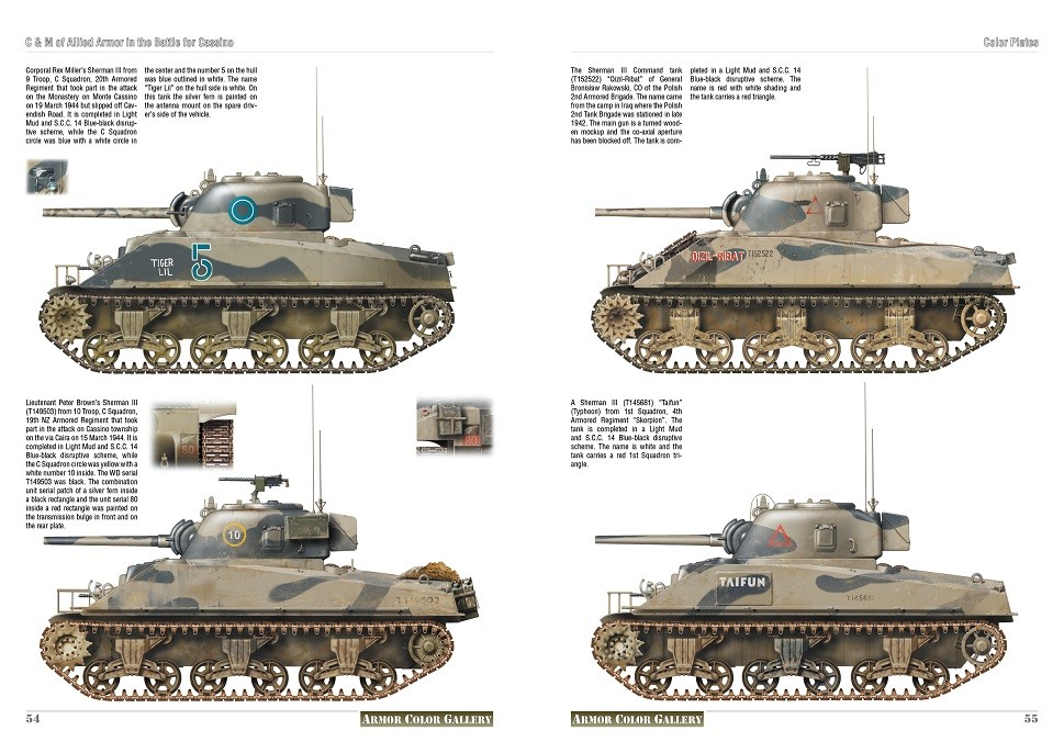 Camouflage & Markings Of Allied Armor In The Battle For Cassino 